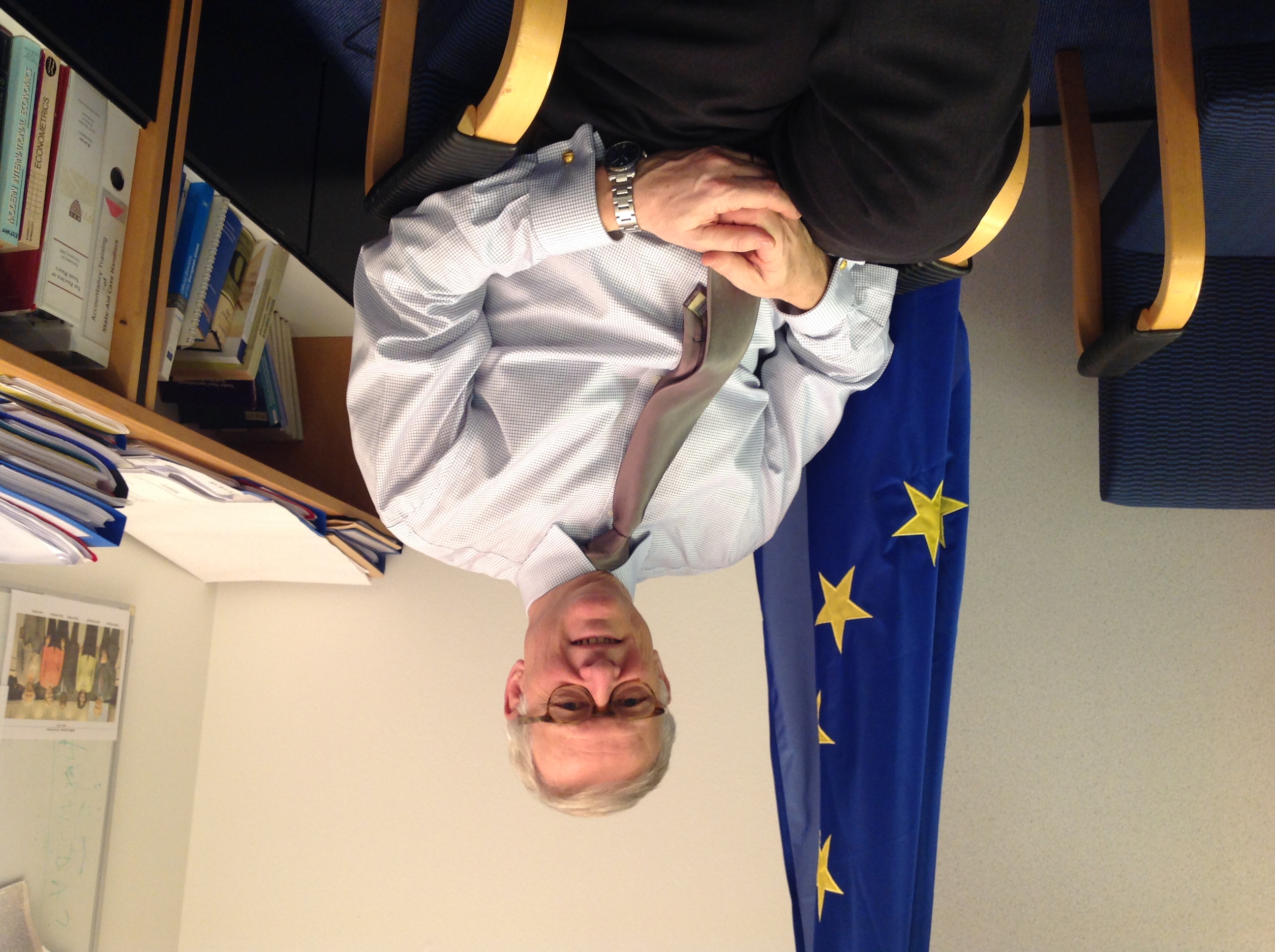 EU Consultancy Services